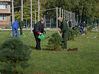 В Твери проходит Всероссийская акция «Сохраним лес»